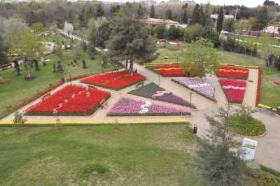 Botanik Bahçesi 